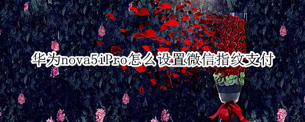华为nova5iPro怎么设置微信指纹支付