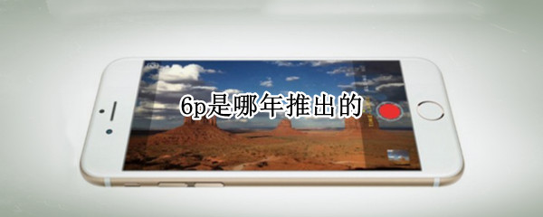 6p是哪年推出的