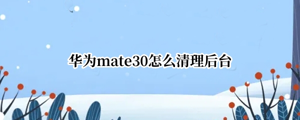 华为mate30怎么清理后台