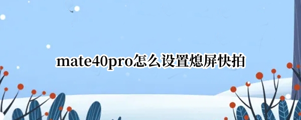 mate40pro怎么设置熄屏快拍