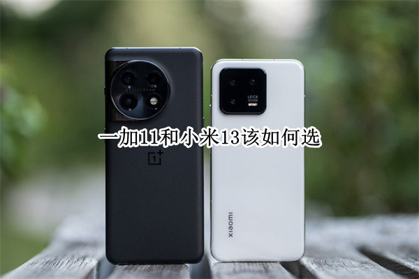 同样的四千元，一加11和小米13该如何选