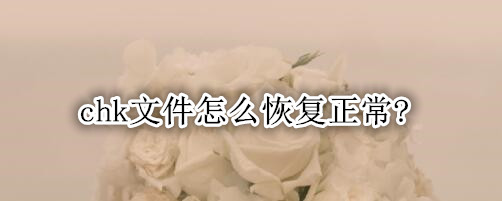 chk文件怎么恢复正常?